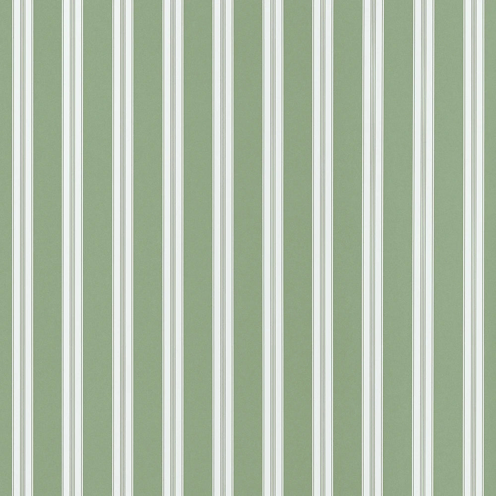 Payton Stripe