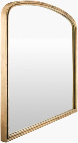 Anemoi Accent Mirror Plated Gold Aluminum 36in x 44in